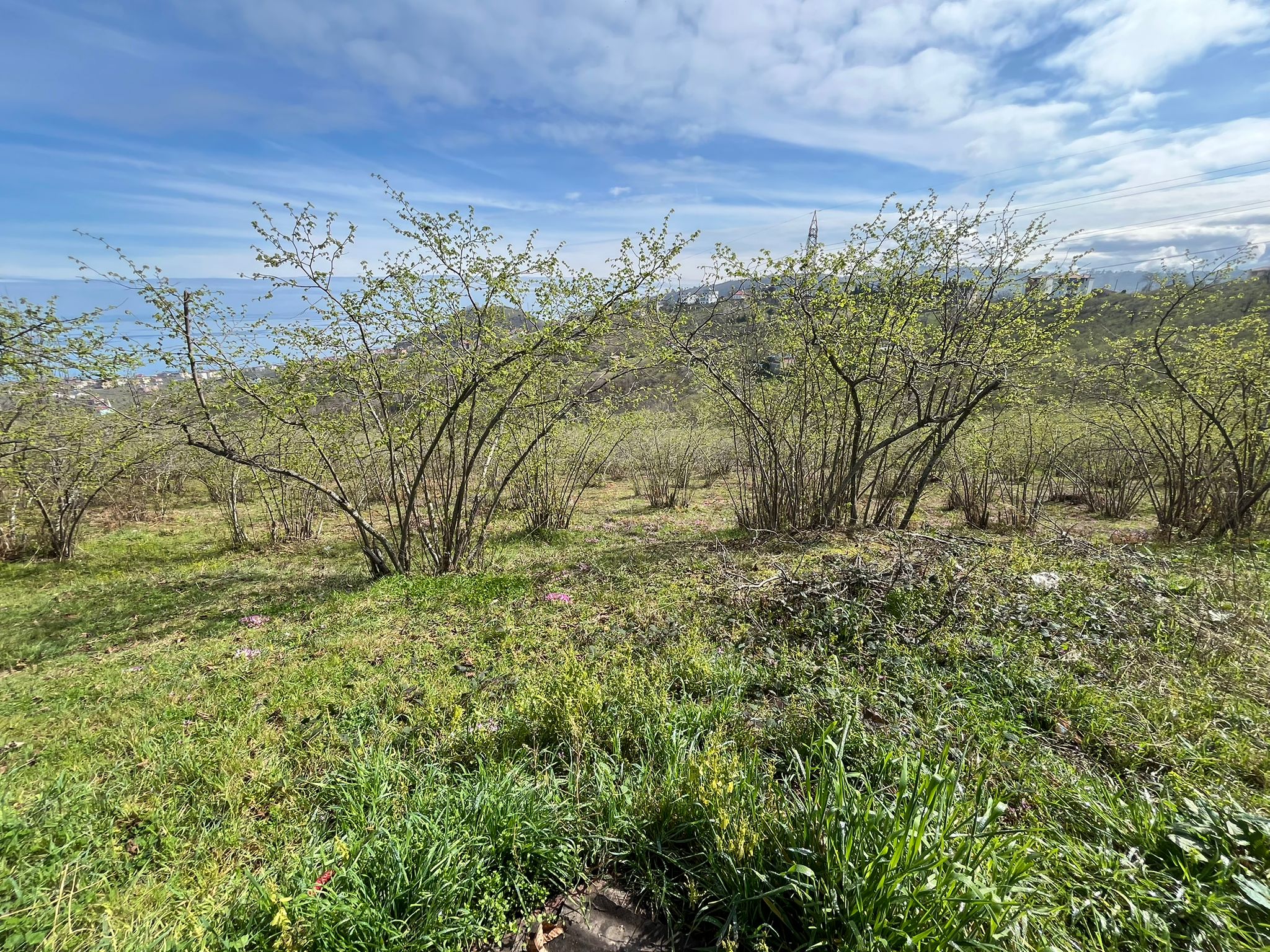 MABEL'DEN ARSİNDE YATIRIMLIK 2.8 DÖNÜM DENİZ MANZARALI ARSA